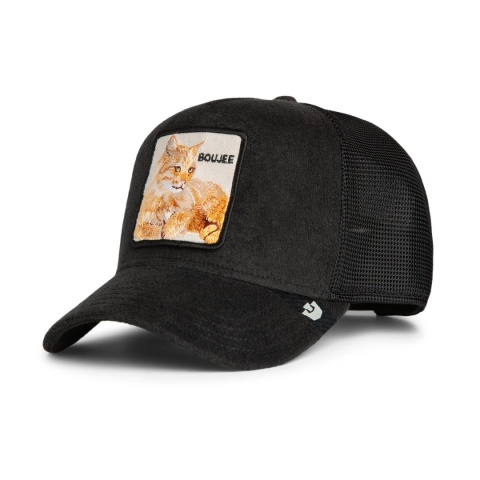 Czapka Goorin Bros - Terry Cloth Cat