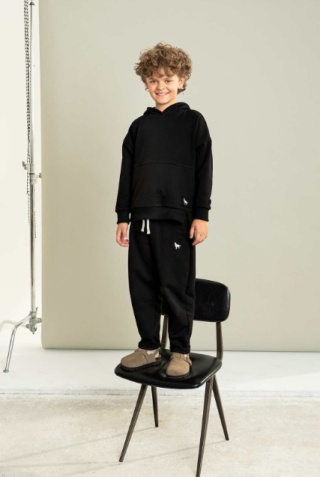 Bluza WOLF z kapturem czarna