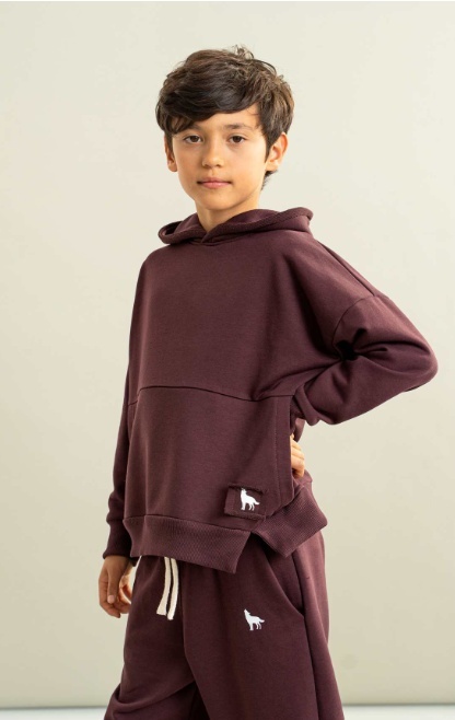 Bluza WOLF z kapturem burgund
