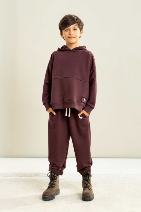 Bluza WOLF z kapturem burgund